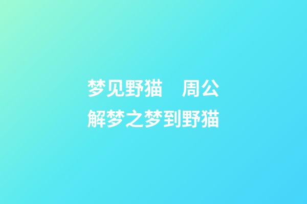 梦见野猫　周公解梦之梦到野猫